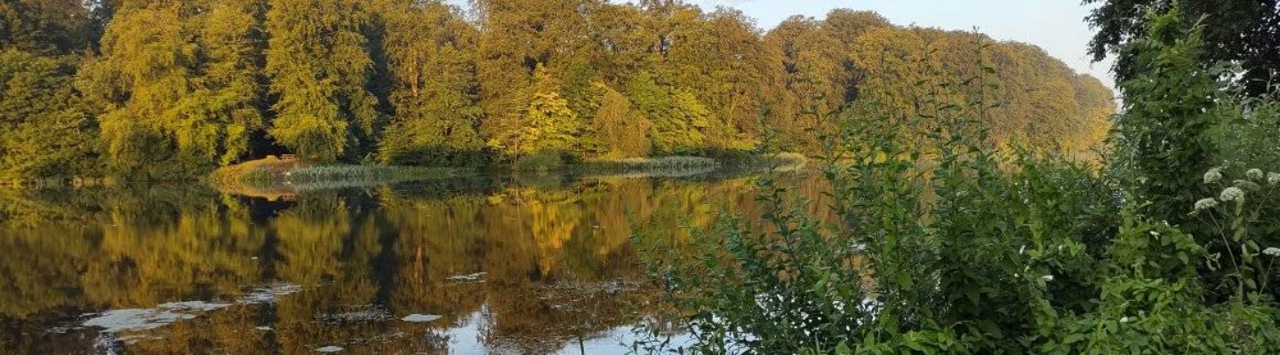 søen2.jpg