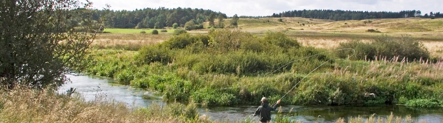 banner1.jpg